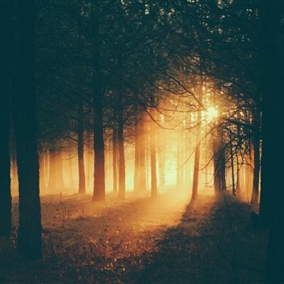 我在汉朝当皇帝bt变态版下载